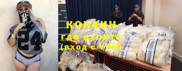 трава Новозыбков