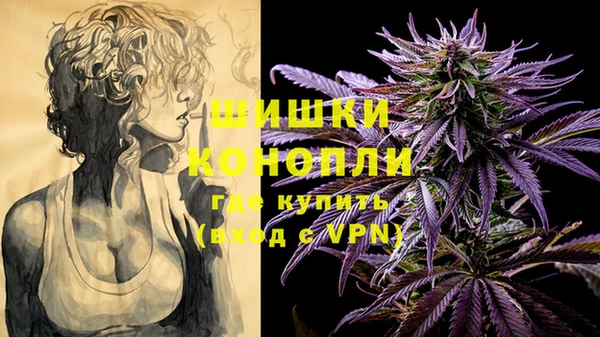 молекула духа Новокубанск