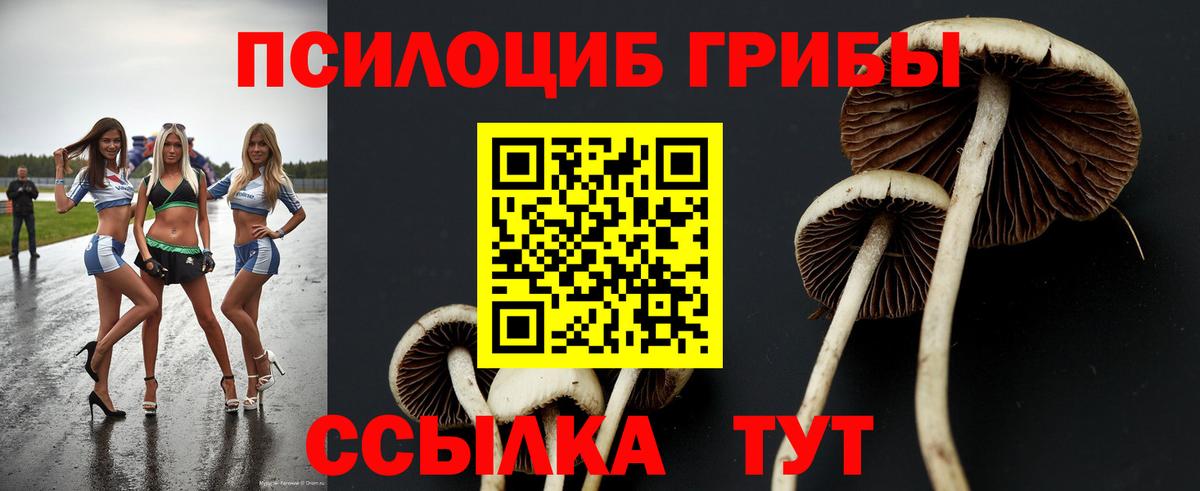 Похвистнево  Псилоцибиновые грибы MAGIC MUSHROOMS  Вход с VPN 